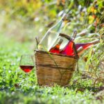 Explore the World’s Premier Food and Wine Tourism Destinations: A Complete Guide to Unforgettable Culinary Journeys