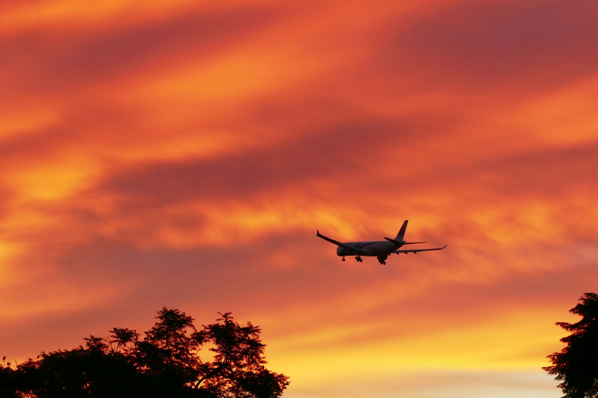 Sustainable Aviation Fuel: Powering the Future of Responsible Tourism