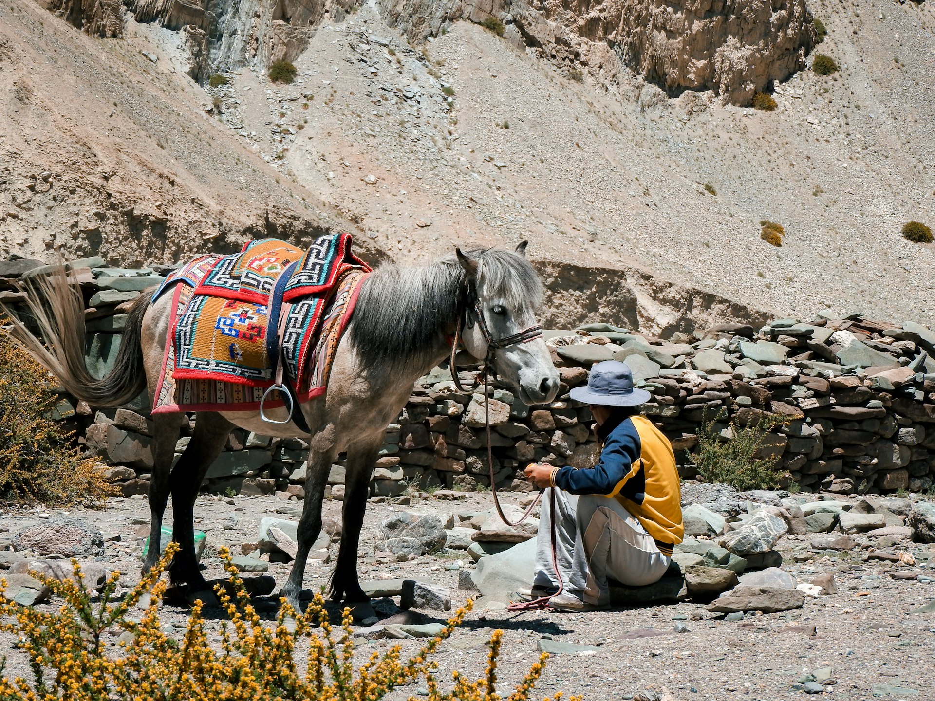 Sustainable Wellness Practices for Digital Nomads: Stay Energized, Balanced, and Productive Anywhere
