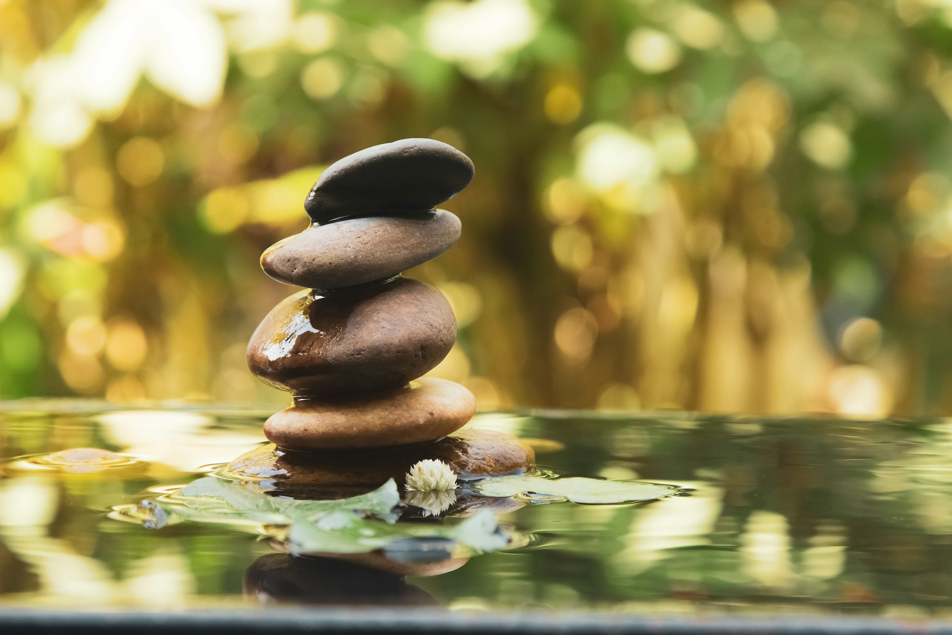 Transform Your Well-Being: How Mindfulness Apps Support Everyday Wellness